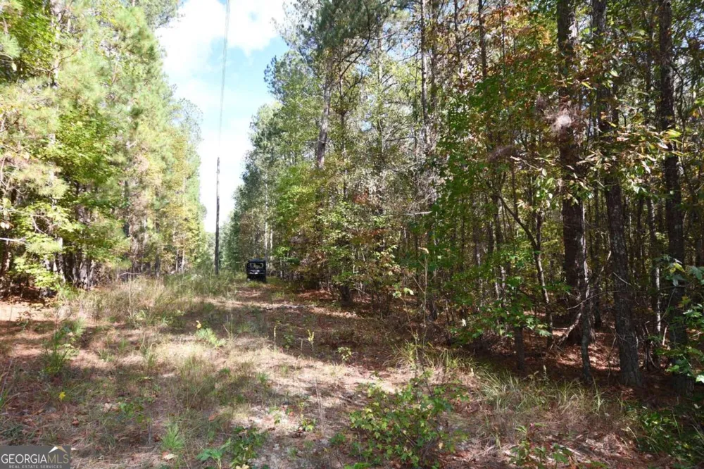 00001 Poplar Springs RD Buchanan, GA 30113
