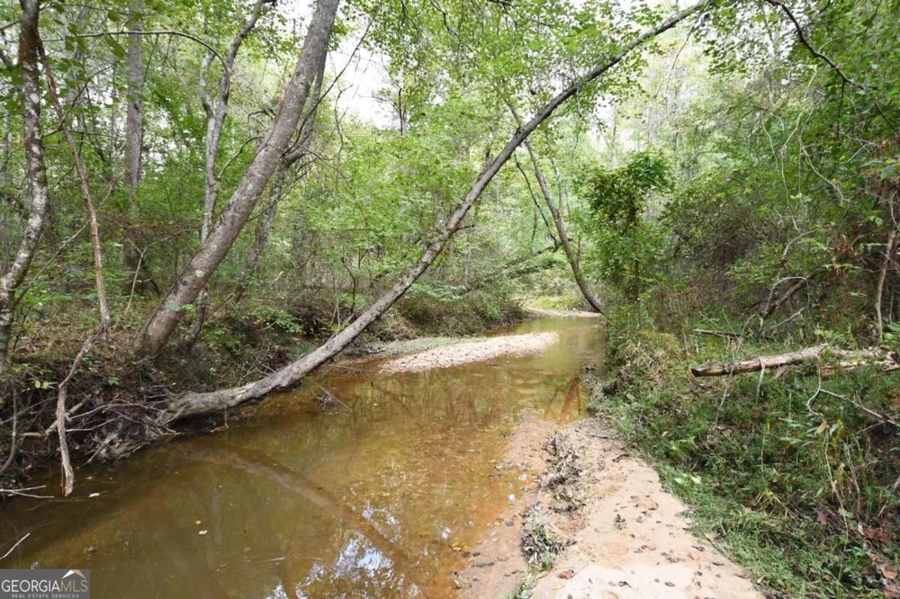 00001 Poplar Springs RD Buchanan, GA 30113