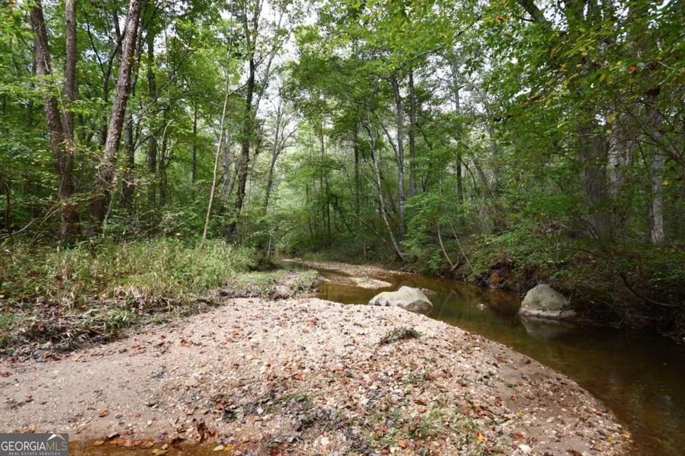 00001 Poplar Springs RD Buchanan, GA 30113