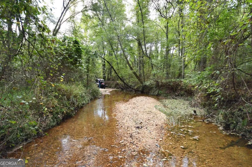 00001 Poplar Springs RD Buchanan, GA 30113