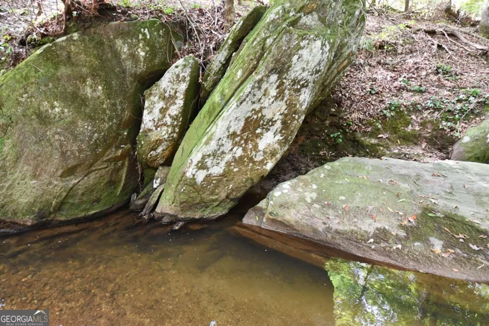 00001 Poplar Springs RD Buchanan, GA 30113