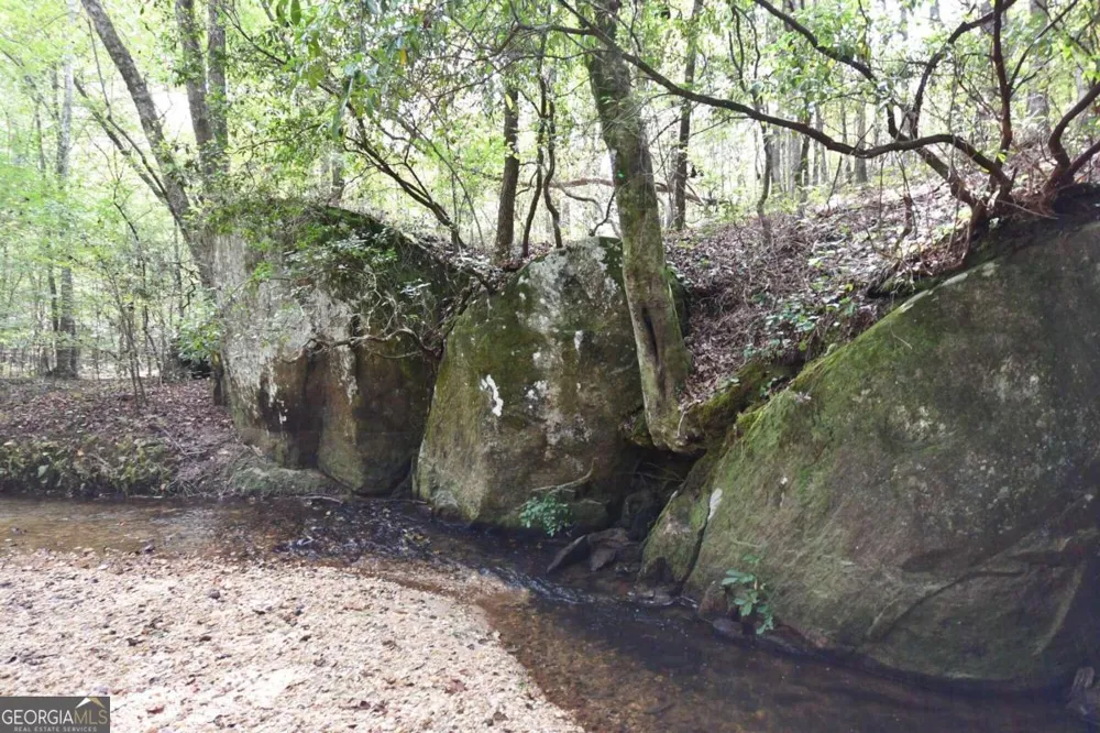 00001 Poplar Springs RD Buchanan, GA 30113