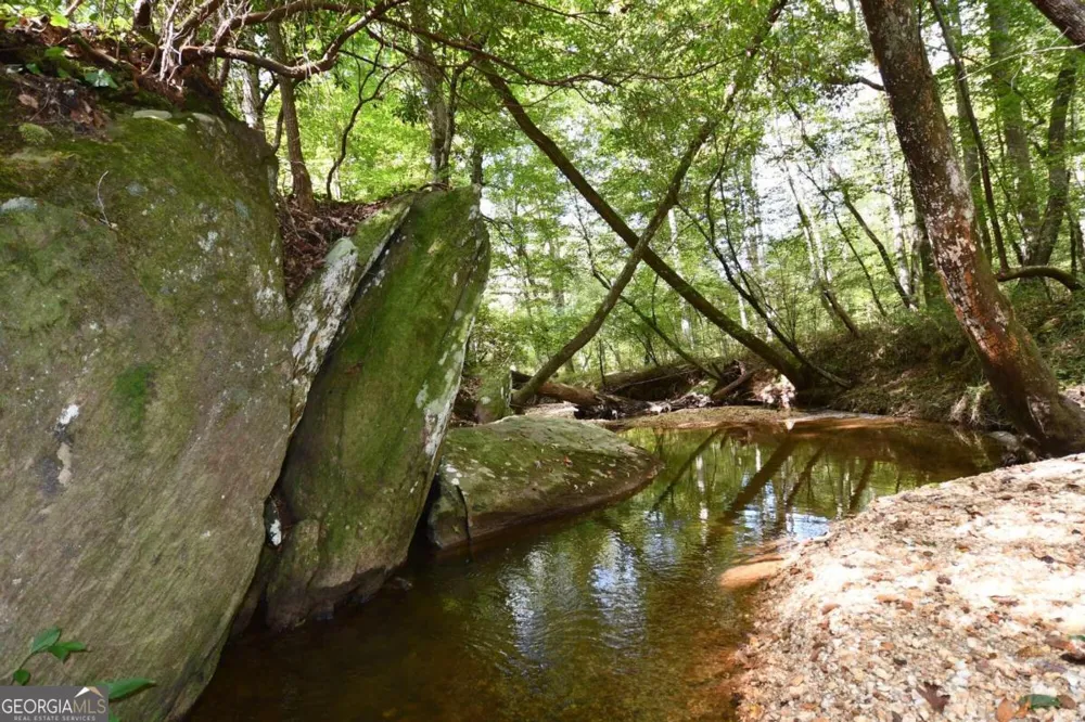 00001 Poplar Springs RD Buchanan, GA 30113