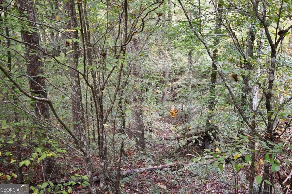 00001 Poplar Springs RD Buchanan, GA 30113