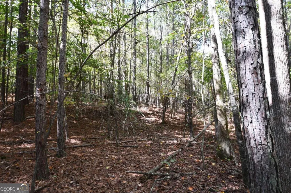 00001 Poplar Springs RD Buchanan, GA 30113
