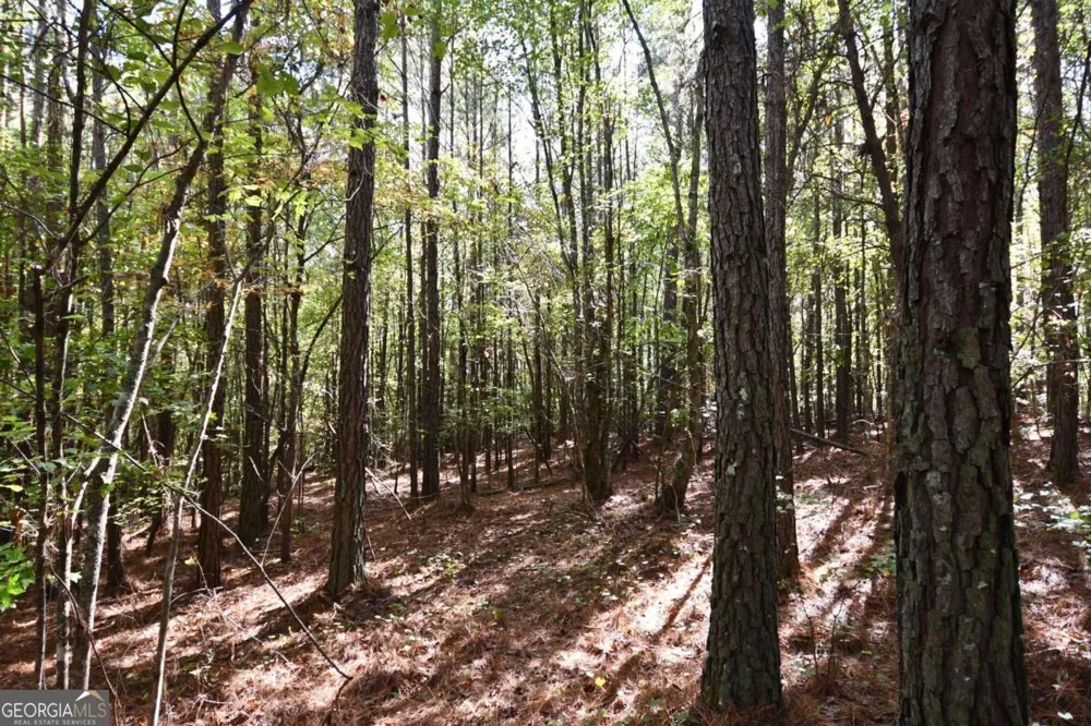00001 Poplar Springs RD Buchanan, GA 30113