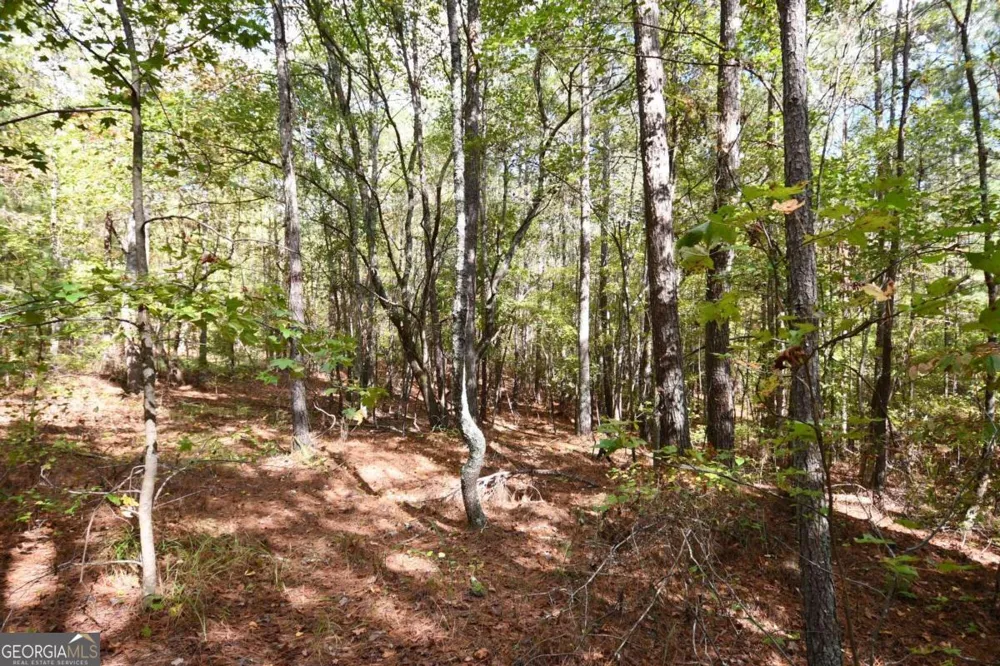 00001 Poplar Springs RD Buchanan, GA 30113