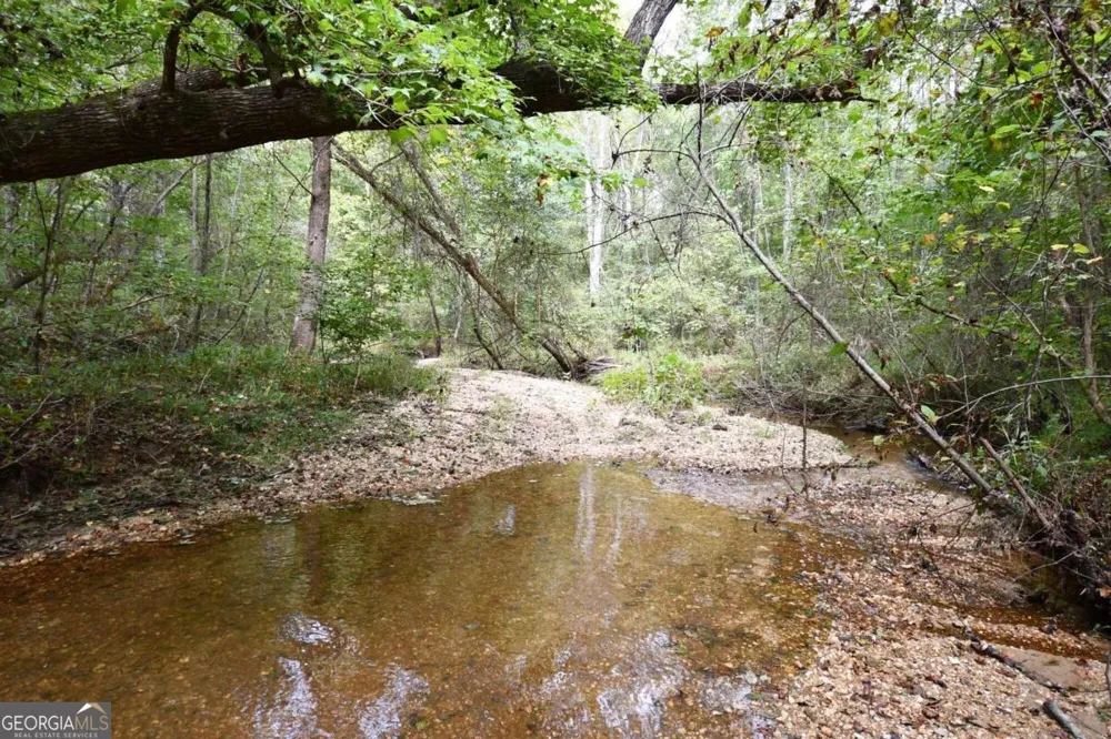 00001 Poplar Springs RD Buchanan, GA 30113