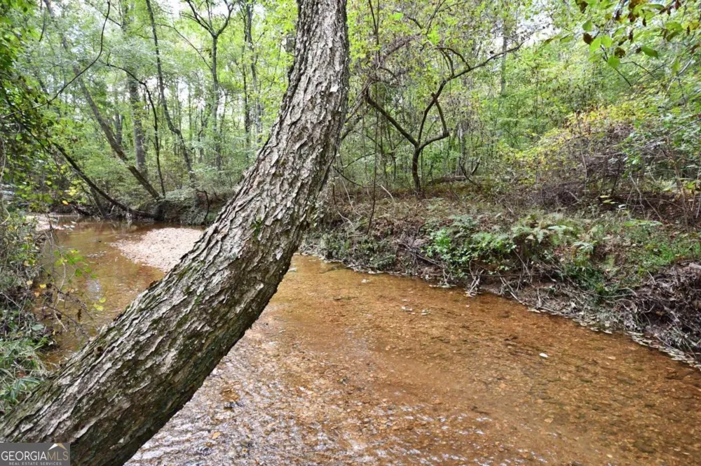 00001 Poplar Springs RD Buchanan, GA 30113
