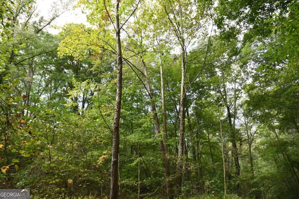 00001 Poplar Springs RD Buchanan, GA 30113
