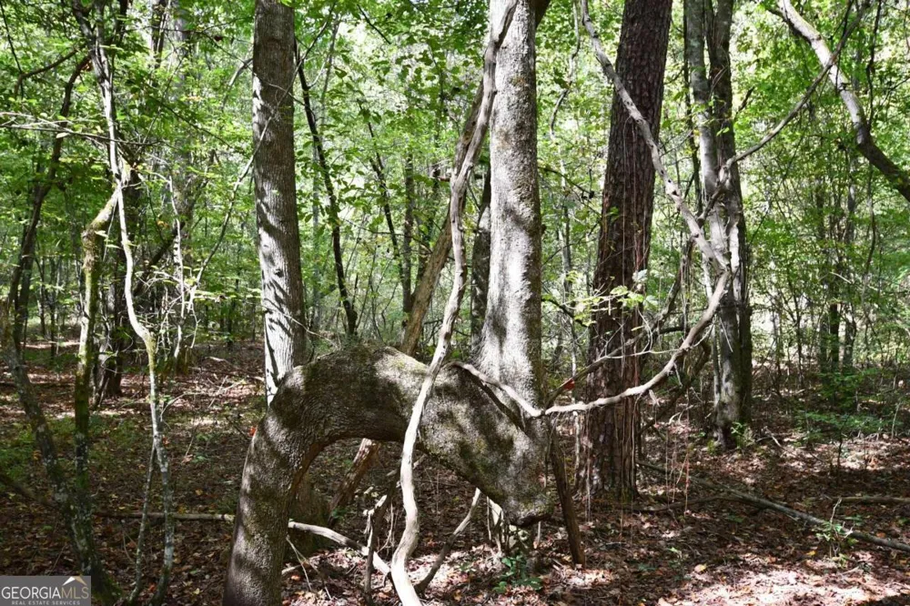 00001 Poplar Springs RD Buchanan, GA 30113