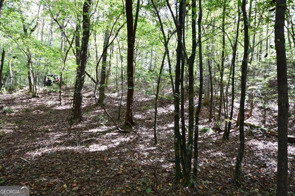 00001 Poplar Springs RD Buchanan, GA 30113