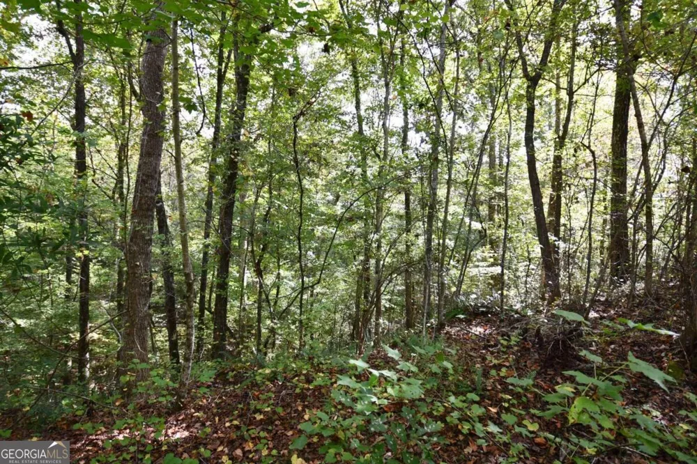 00001 Poplar Springs RD Buchanan, GA 30113