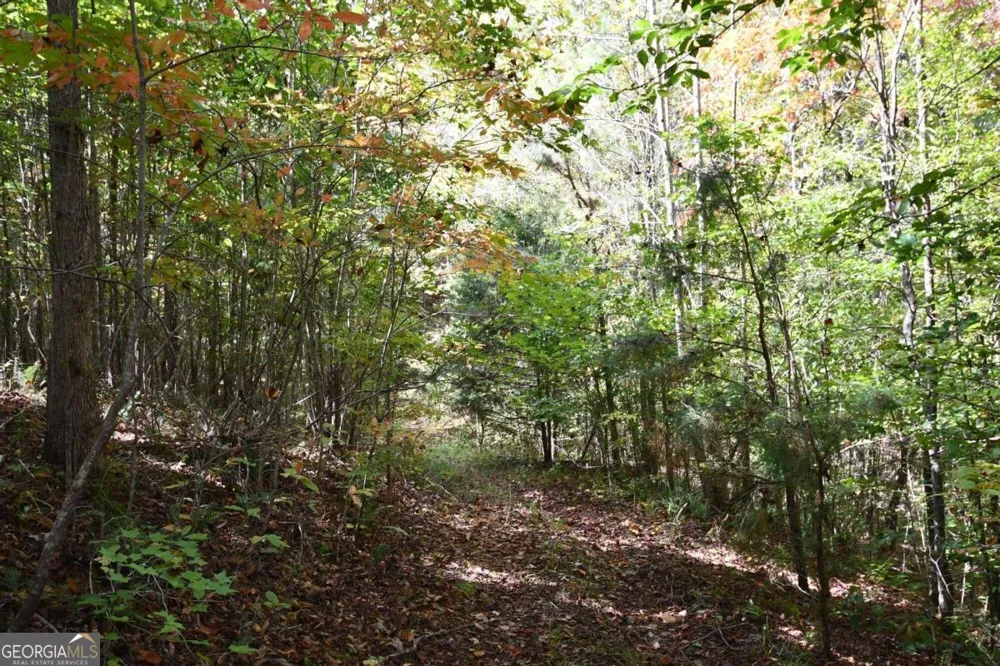 00001 Poplar Springs RD Buchanan, GA 30113