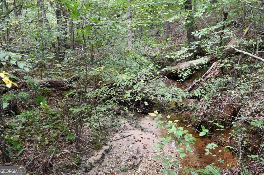 00001 Poplar Springs RD Buchanan, GA 30113