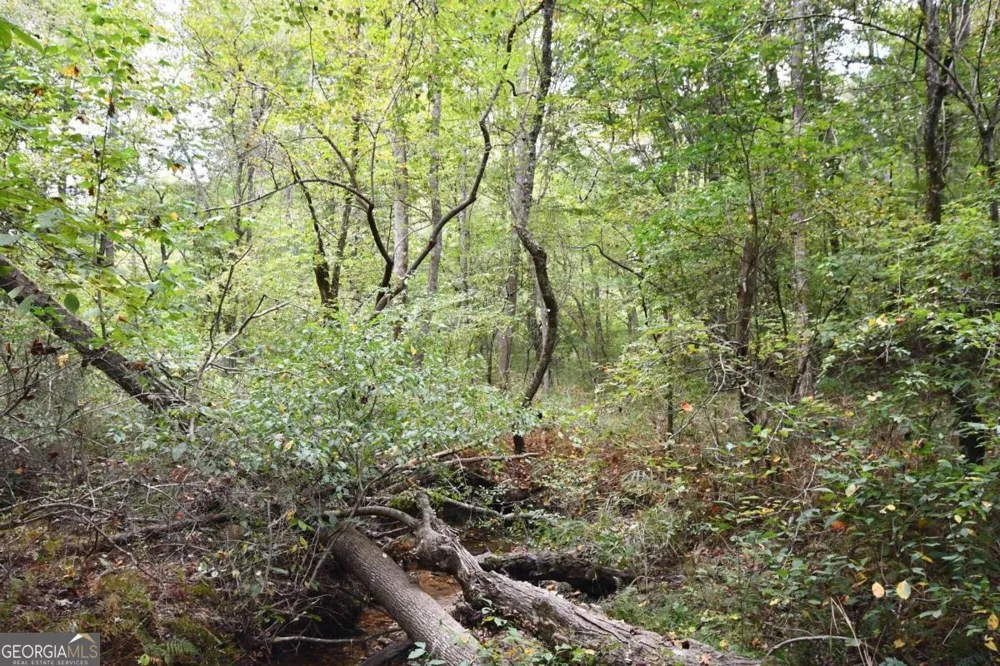 00001 Poplar Springs RD Buchanan, GA 30113