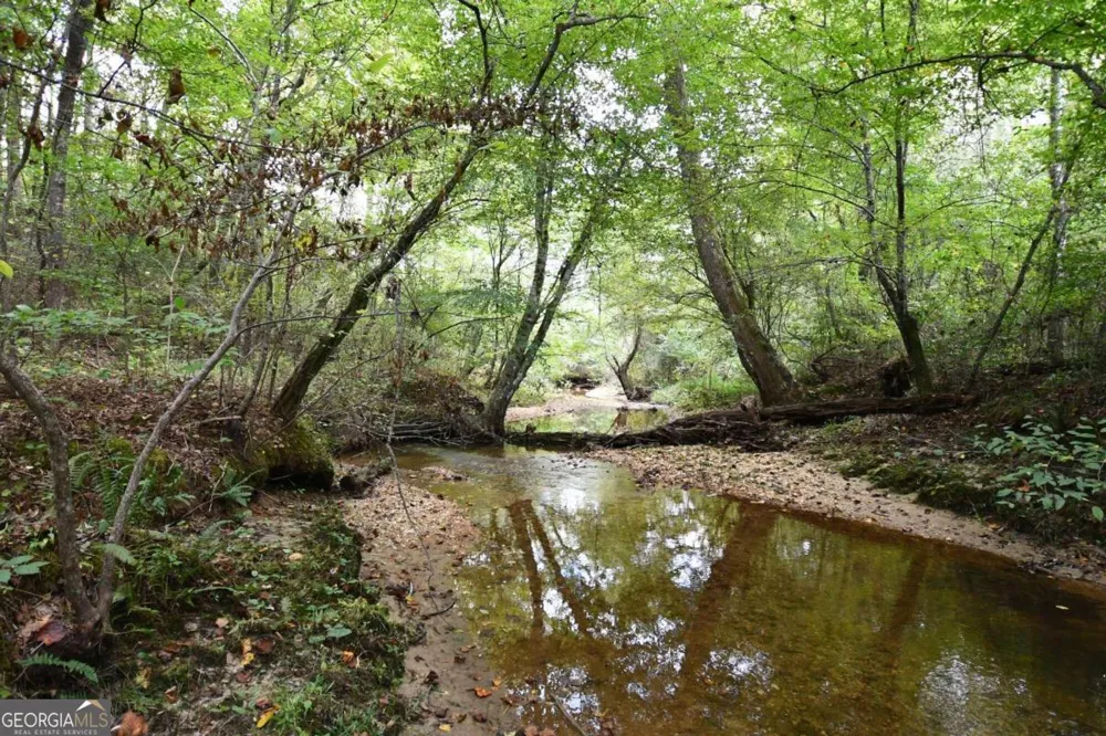 00001 Poplar Springs RD Buchanan, GA 30113