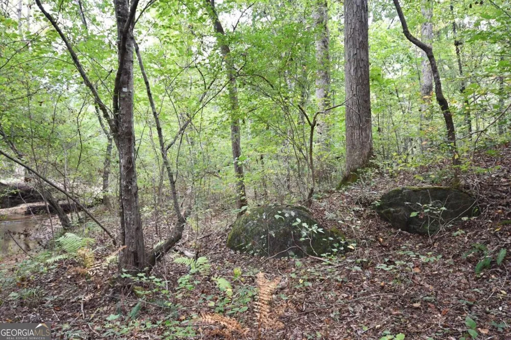 00001 Poplar Springs RD Buchanan, GA 30113