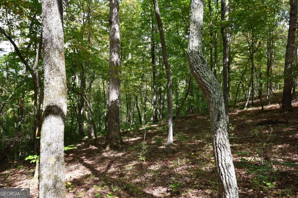00001 Poplar Springs RD Buchanan, GA 30113
