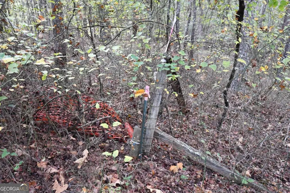 00001 Poplar Springs RD Buchanan, GA 30113