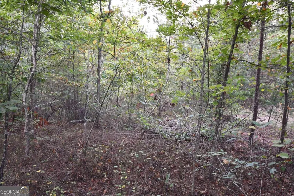00001 Poplar Springs RD Buchanan, GA 30113