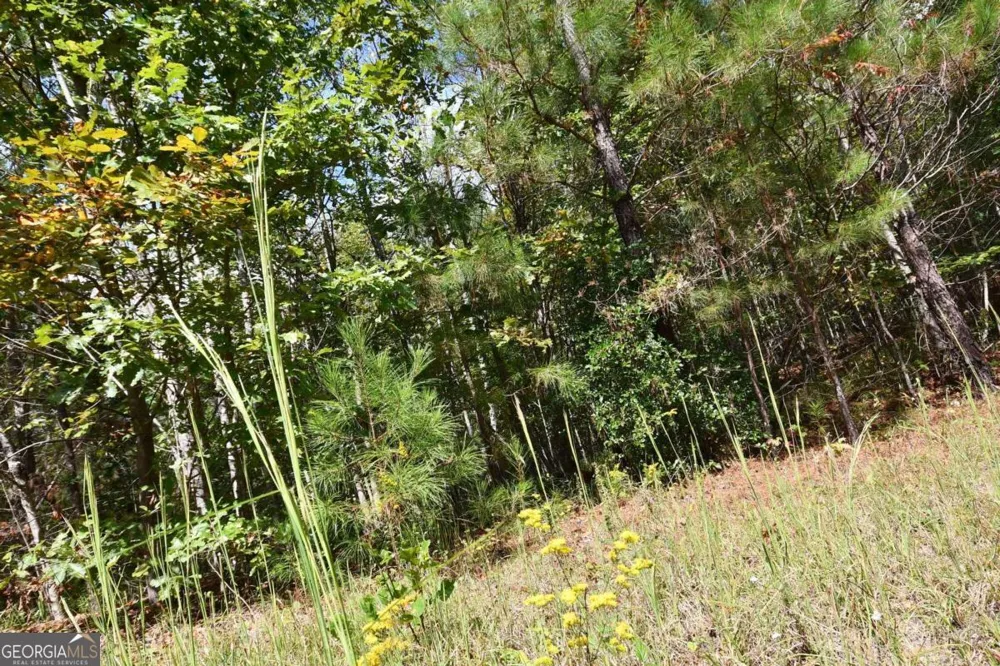 00001 Poplar Springs RD Buchanan, GA 30113