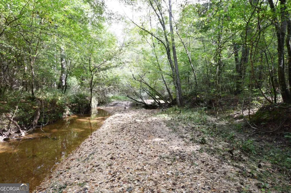 00001 Poplar Springs RD Buchanan, GA 30113