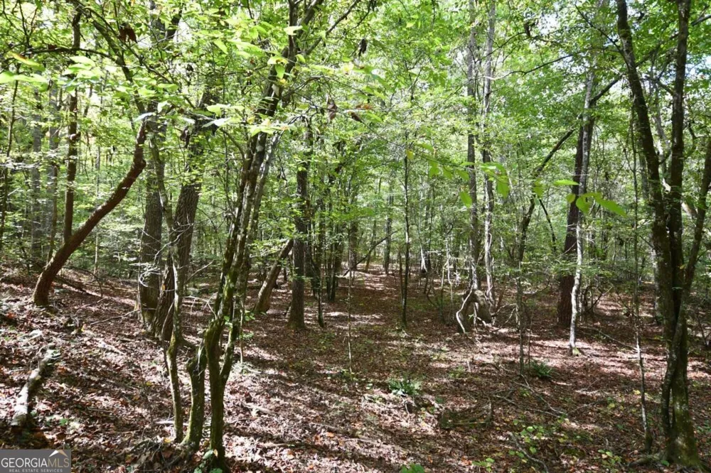 00001 Poplar Springs RD Buchanan, GA 30113