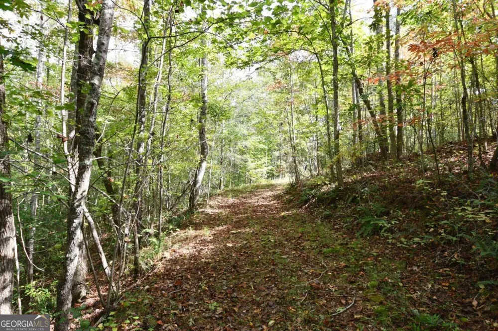 00001 Poplar Springs RD Buchanan, GA 30113