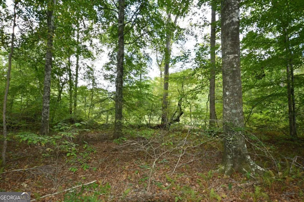 00001 Poplar Springs RD Buchanan, GA 30113