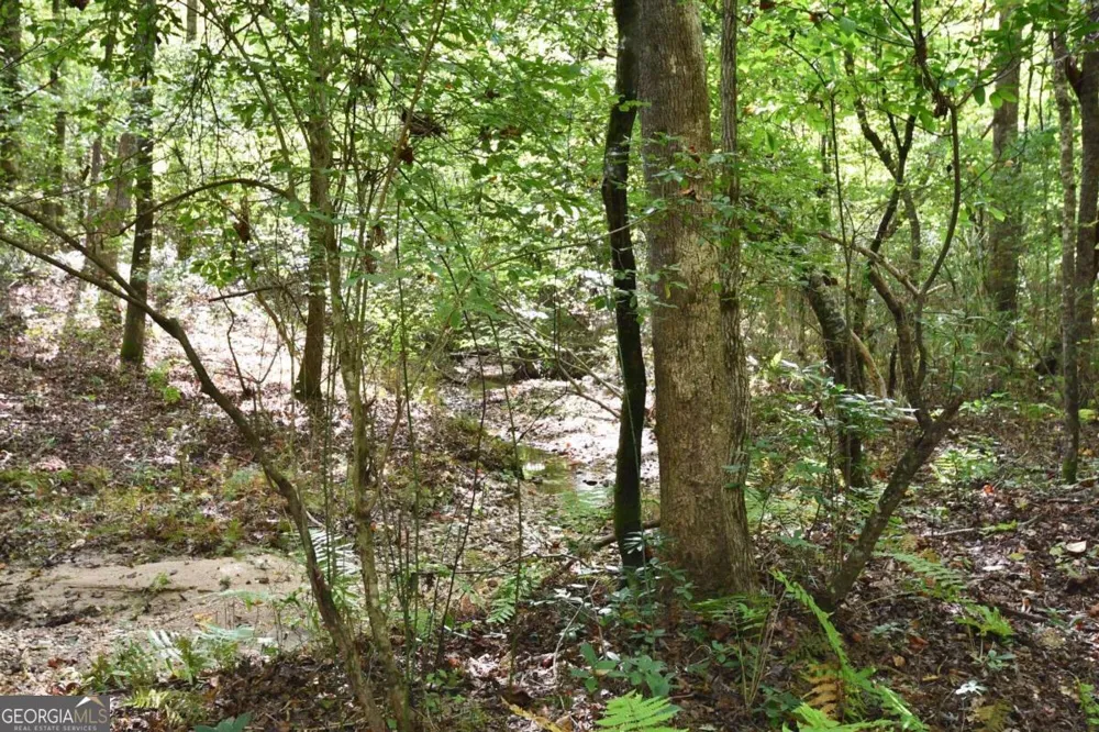 00001 Poplar Springs RD Buchanan, GA 30113