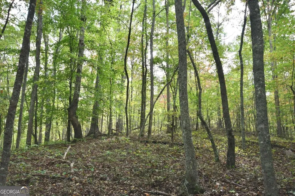 00001 Poplar Springs RD Buchanan, GA 30113