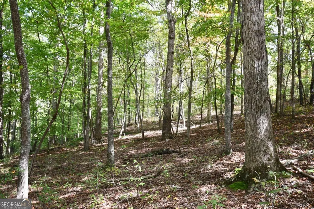 00001 Poplar Springs RD Buchanan, GA 30113