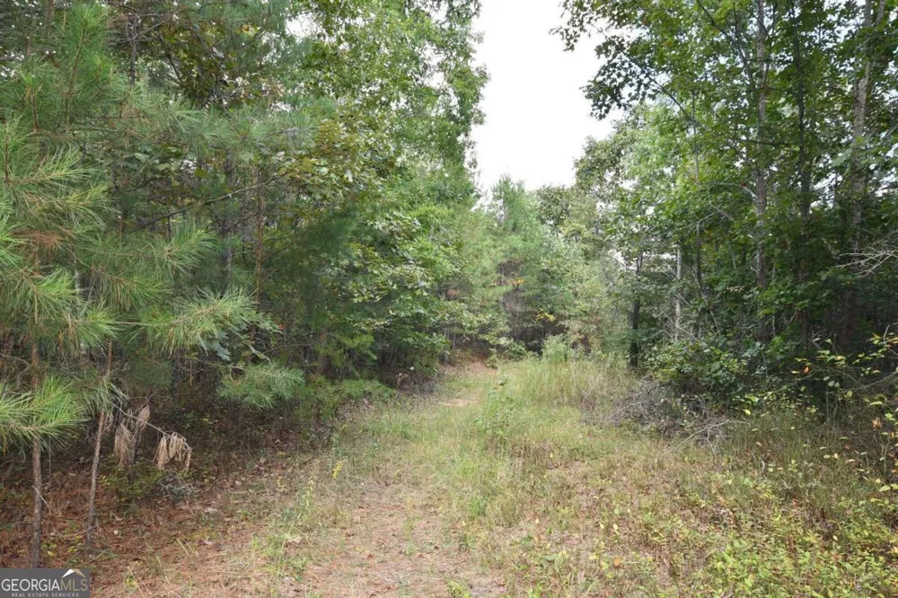 00001 Poplar Springs RD Buchanan, GA 30113