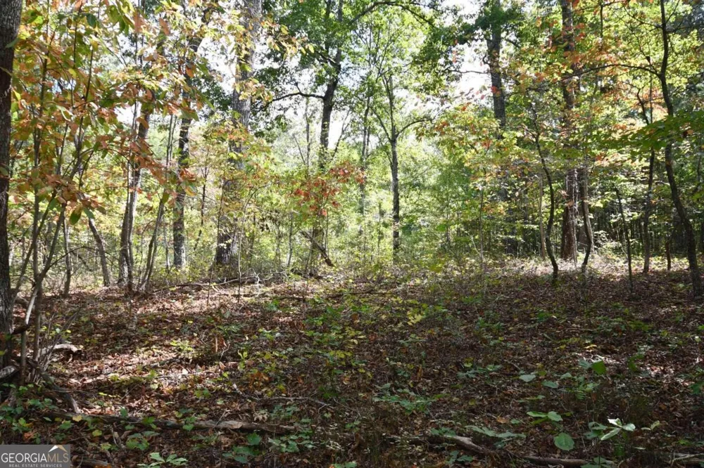 00001 Poplar Springs RD Buchanan, GA 30113