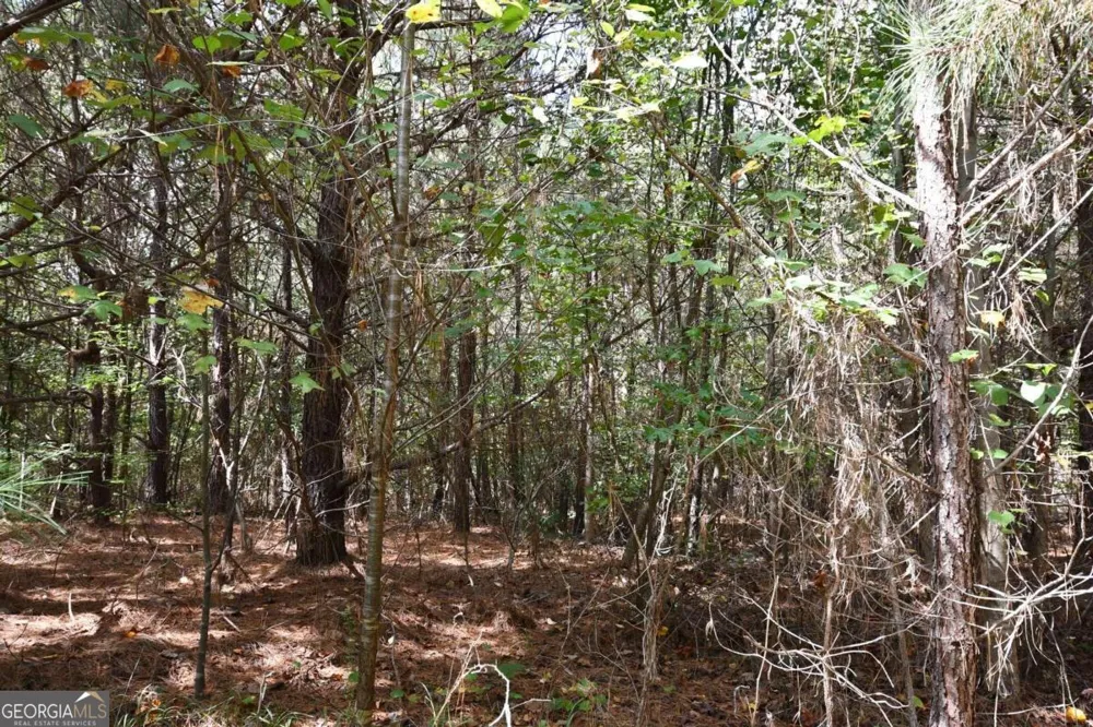 00001 Poplar Springs RD Buchanan, GA 30113