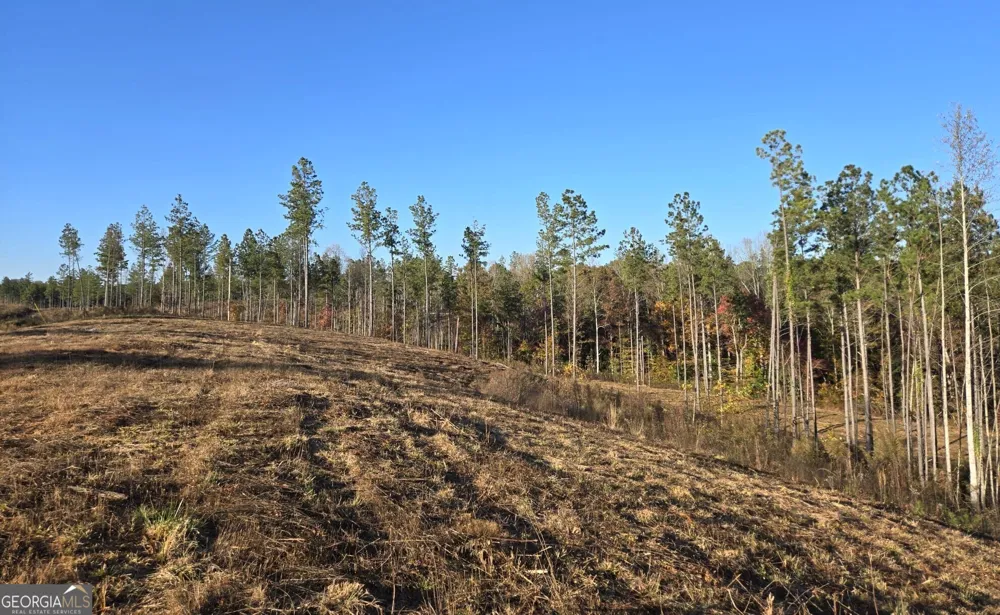 LOT 133 River Reach LN Talking Rock, GA 30175
