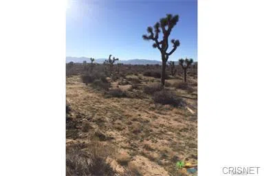 20 Street West & Ave. S Palmdale, CA 93551