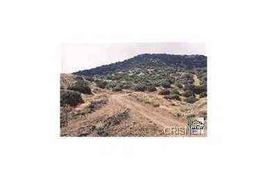 20 Street West & Ave. S Palmdale, CA 93551
