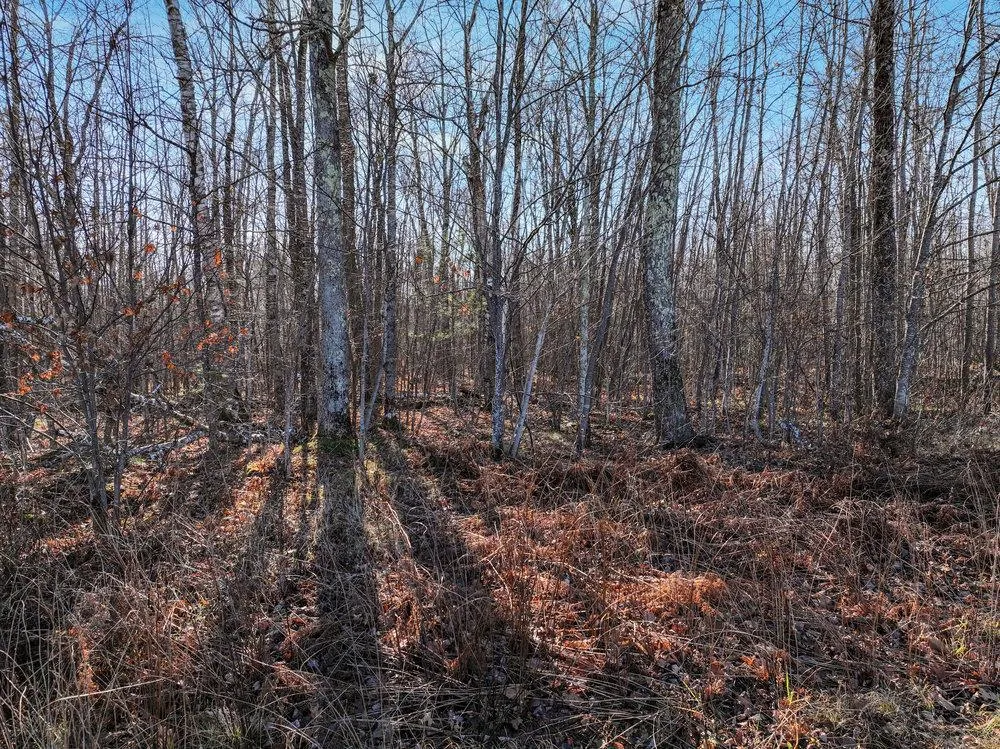 Lot 14 Peninsula Road Hayward, WI 54843