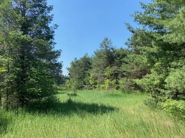 US-131 Highway Mancelona, MI 49659