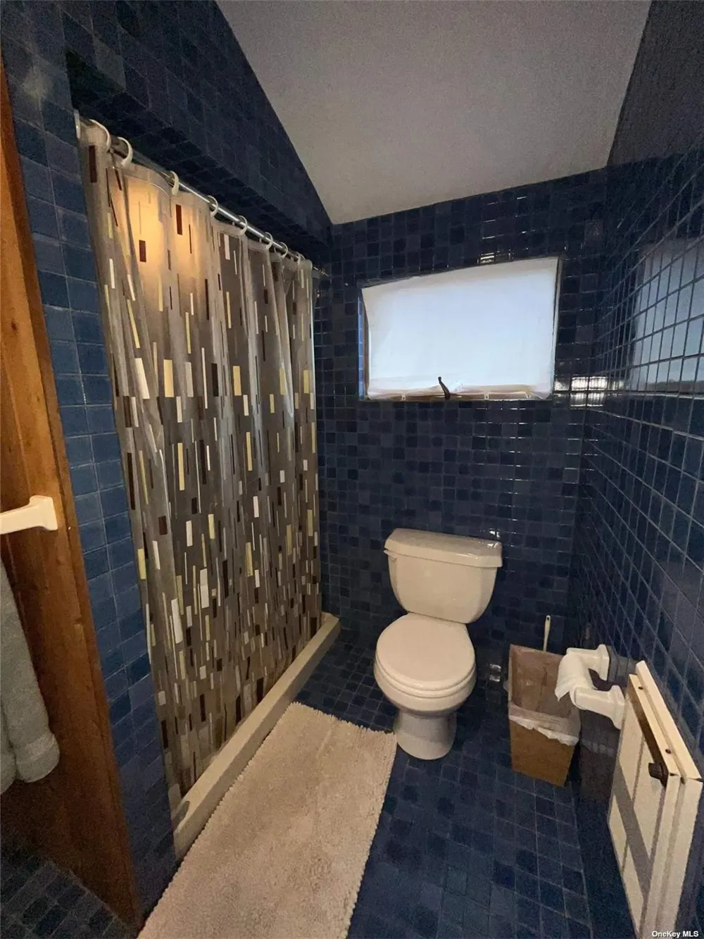 197 Cottage Walk Ocean Beach, NY 11770