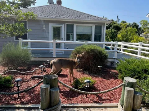 45 Beachwold