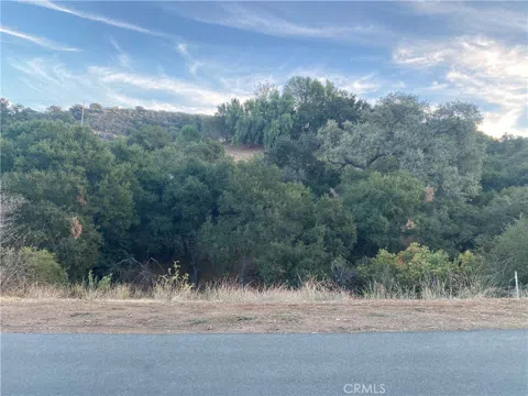 S Skyline Dr Drive