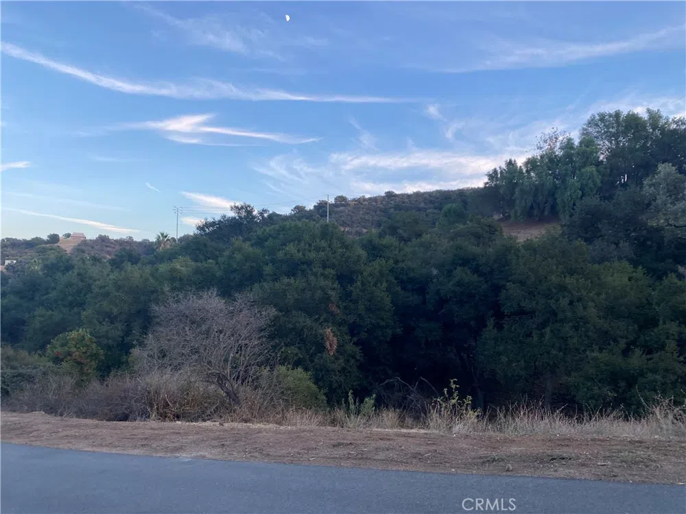 S Skyline Dr Drive Thousand Oaks, CA 91361
