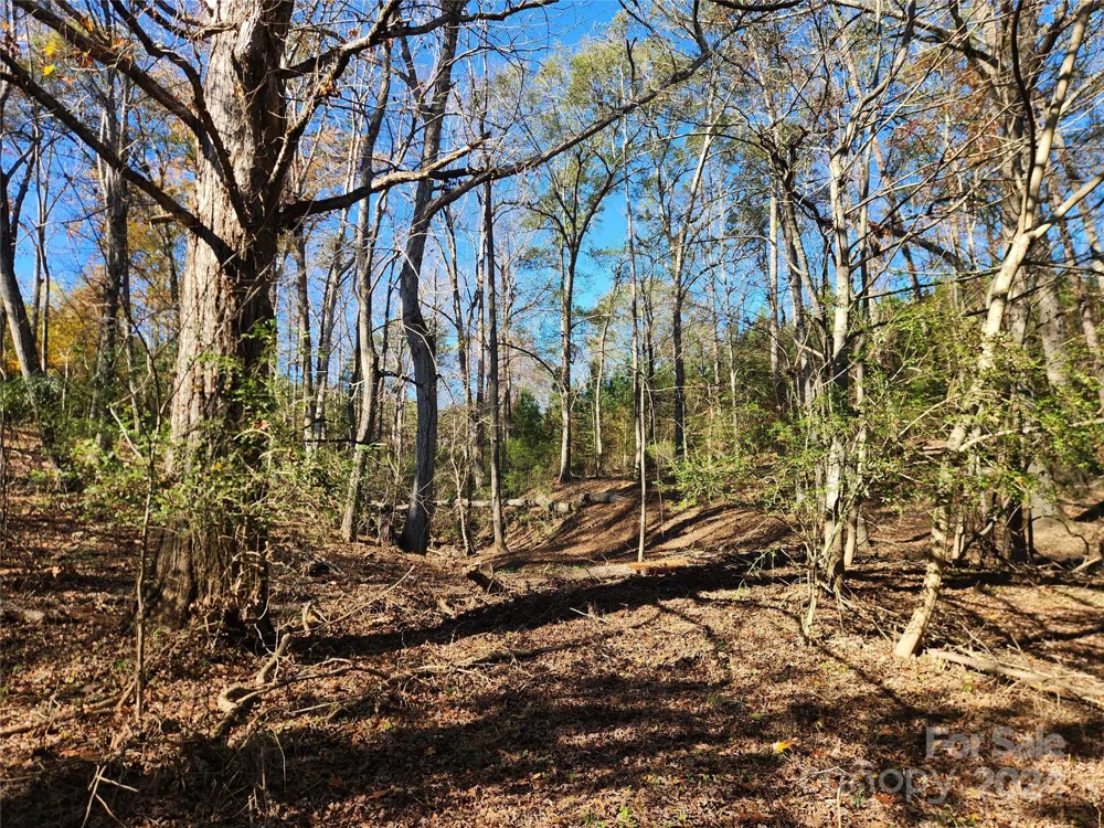 451 Low Bridge Road Forest City, NC 28043
