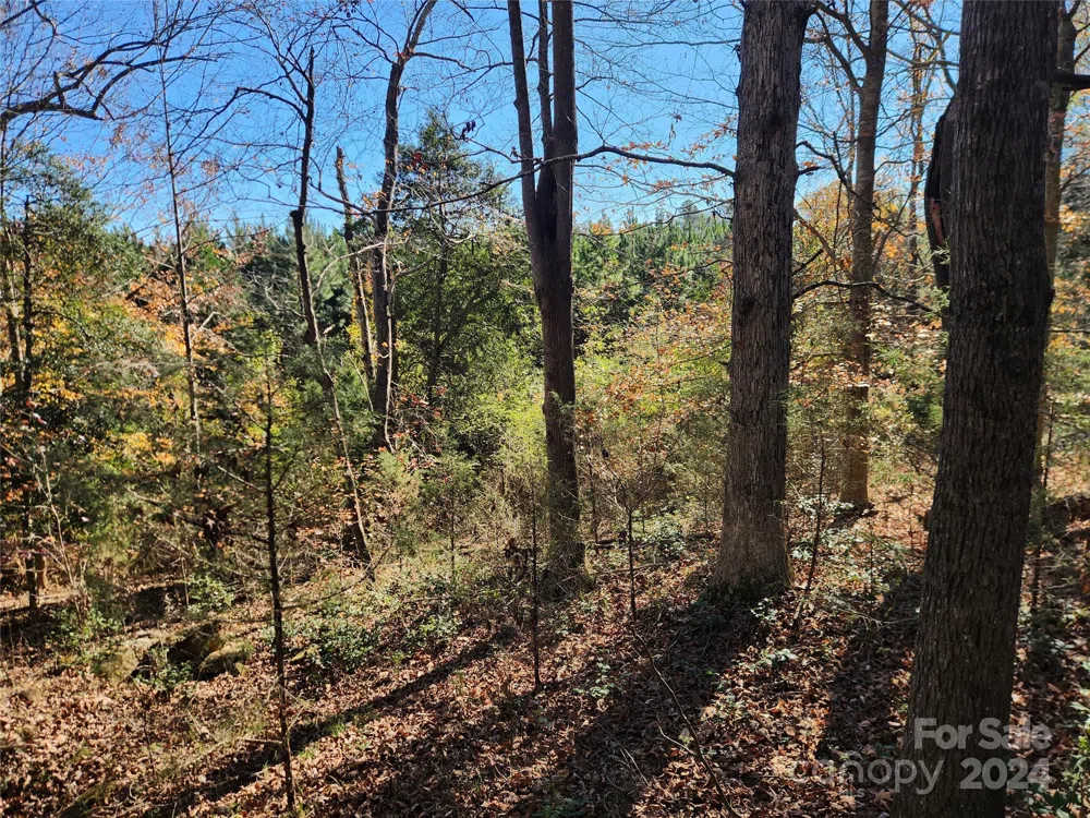 451 Low Bridge Road Forest City, NC 28043