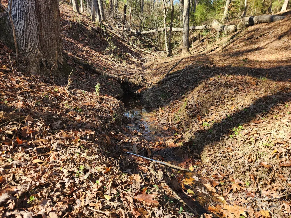 451 Low Bridge Road Forest City, NC 28043