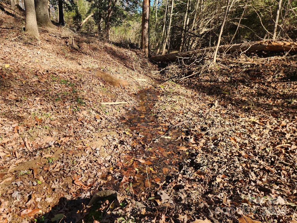 451 Low Bridge Road Forest City, NC 28043