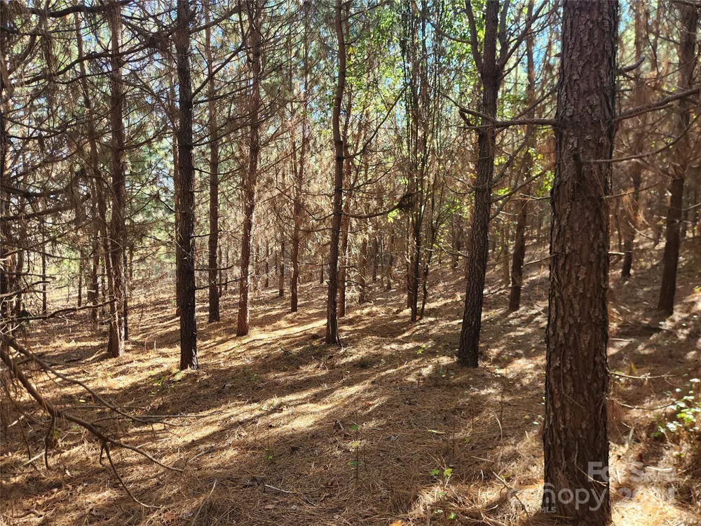 451 Low Bridge Road Forest City, NC 28043